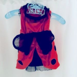 Dog Ladybug Costume